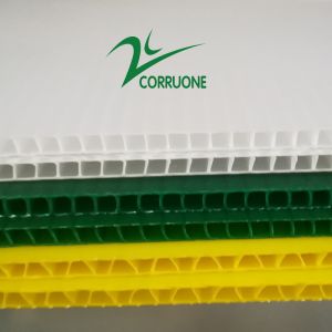OEM Broccoli Fruit Corrugated Boxes Corrugated Plastic Delivery Box