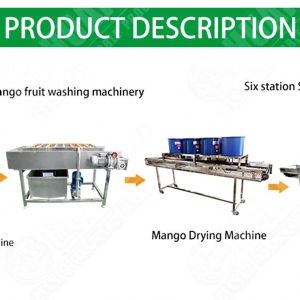 Electric Automatic Vegetable And Fruit Washing Machine Tomato Processing Line