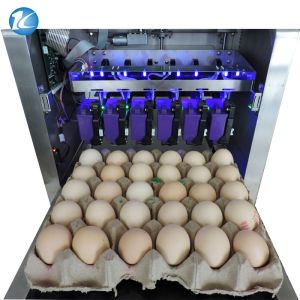 Automatic Jet Coding Machine Industrial Inkjet Barcode Printers On Egg Top And