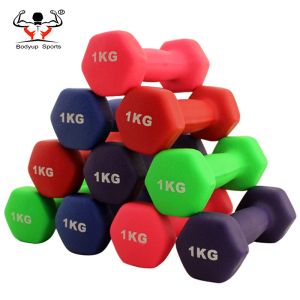 Strength Training Dumbbell For Ladies , Wear Resistant Cast Iron Dumbbells
