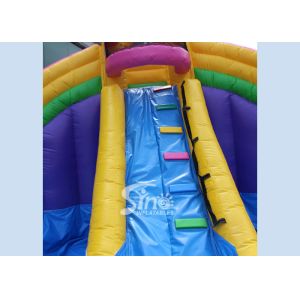 Backyard Rainbow Commercial Inflatable Water Slides with Pool , Double Lane