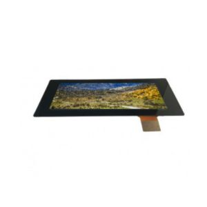 OEM ODM Vertical IPS Tft Lcd Display 6.8 Inch With MIPI Interface