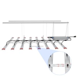 Wholesale 4x6ft 800W Full Spectrum Indoor Led Grow Light Full Cycle Growth Stage from china suppliers