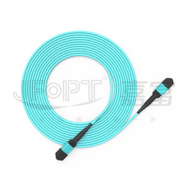 Quality 10 Gigabits MPO patch cord Fast Connection for optical signal connection in computer room for sale