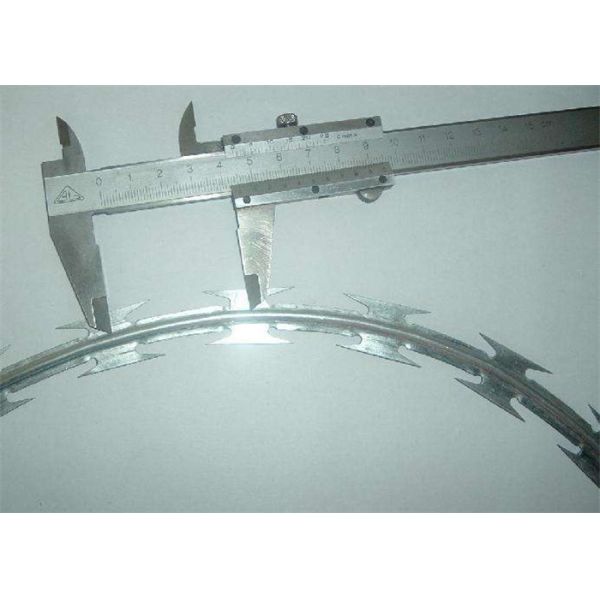 Galvanized Security Barbed Wire With Blades Stainless Steel Razor Type ,razor