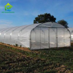 China High Strength Easy Installation Poly Tunnel Greenhouse Insect Prevention Increase Production on sale
