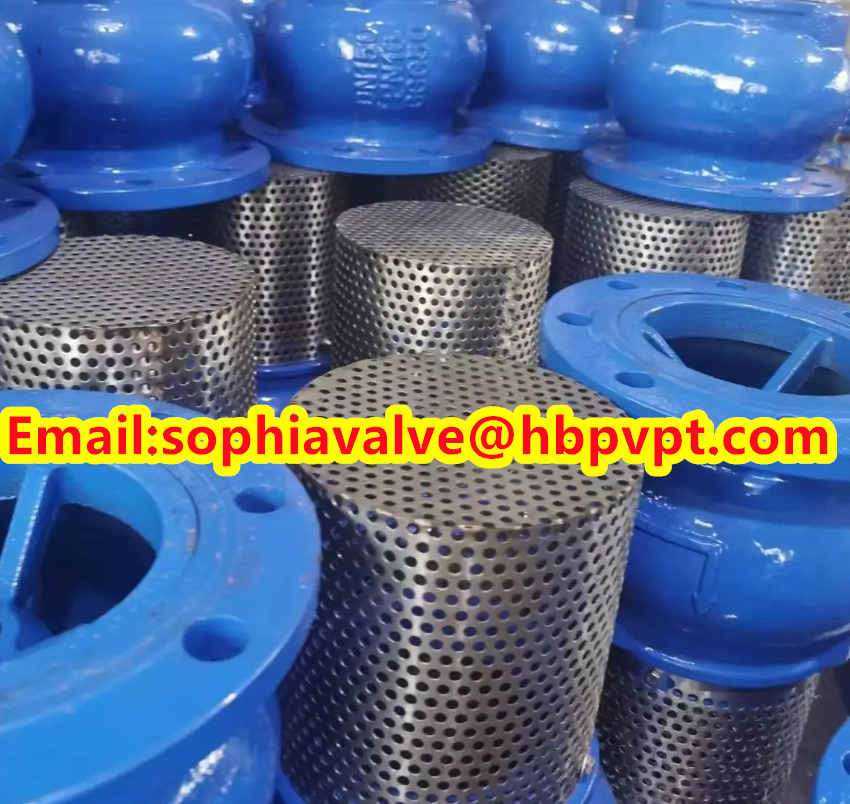 2024 hot sale flanged foot valve material GGG40