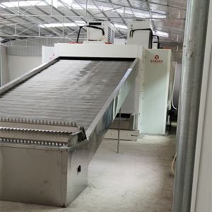 Energy Efficient Continuous Belt Dryer Chili Advanced Heat Recovery System