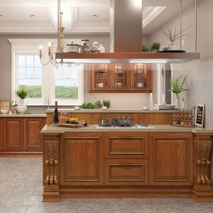 Slab Scandinavian Classical Traditional Shaker Cabinets 10x10 Customizable