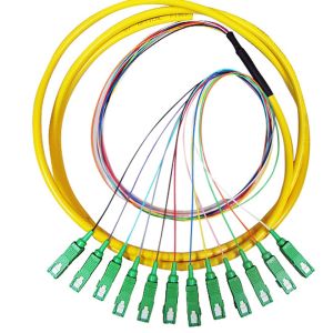12 Core SC 3mm Fiber Optic Pigtail , Single Mode / Multimode Pigtail