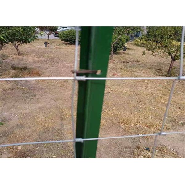 Painted BTO-18 Metal Fence T Post Without Spade