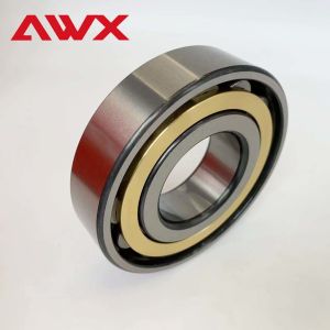 Performance Full Complement N309EM Cylindrical Needle Roller Bearing