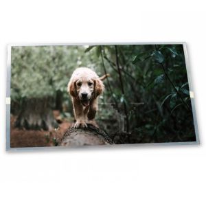 Wholesale 4.3-Inch WLED LCD Display Module HSD043I9W1-A00 with 480*272 Resolution LCD Modules from china suppliers