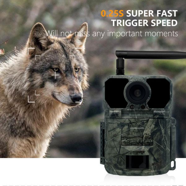 Quality 4G hunting trail camera KW895 with APP 2K FHD Video 30MP image waterproof IP67 up to 512GB storage for wildlife research for sale