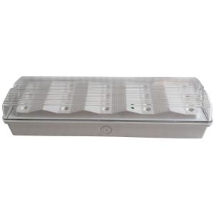 Building Outside Rechargeable LED Ceiling Emergency Light With PC Diffuser