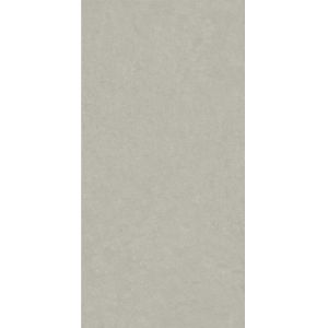 600x1200mm Indoor Porcelain Tiles AAA Grade Clay ISO13006