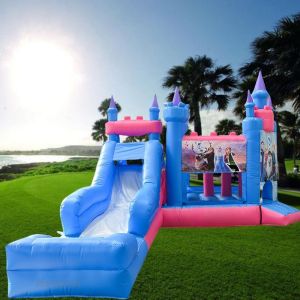 14 Years Up Commercial Inflatable Bouncer Castle with Slide and Packing Bag