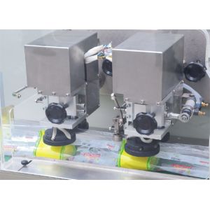 Automated Reciprocating Horizontal Pouch Packing Machine With PE Film