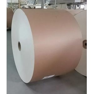 Biodegradable Affordable PLA Coated Roll Paper for Coffee and Tea Paper Cup Fan