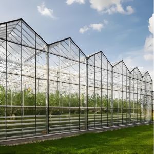 Wholesale Tempered 4mm Greenhouse Glass for Agriculture for Exporting from china suppliers