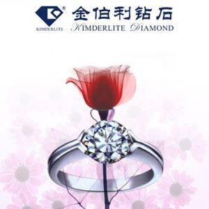 PLASTIC LENTICULAR flip 3d lenticular animal poster Advertising picture with pp