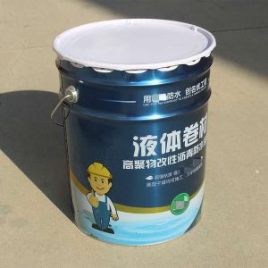 Free Samples Liquid Waterproofing Membrane Roof 24 Hours Curing Time