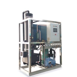 Automatic Ice Tube Making Machine With 1000kg Ice Storage Capacity In Philippine