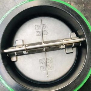 Wholesale DN100 DI Stainless Steel jis 10k pn16 bs din swing Stop Spring Duo Dual check valves Wafer Butterfly Non-Reurn WCB from china suppliers