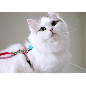 Pink Cat Harness And Leash Cat Halter And Leash Adjustable