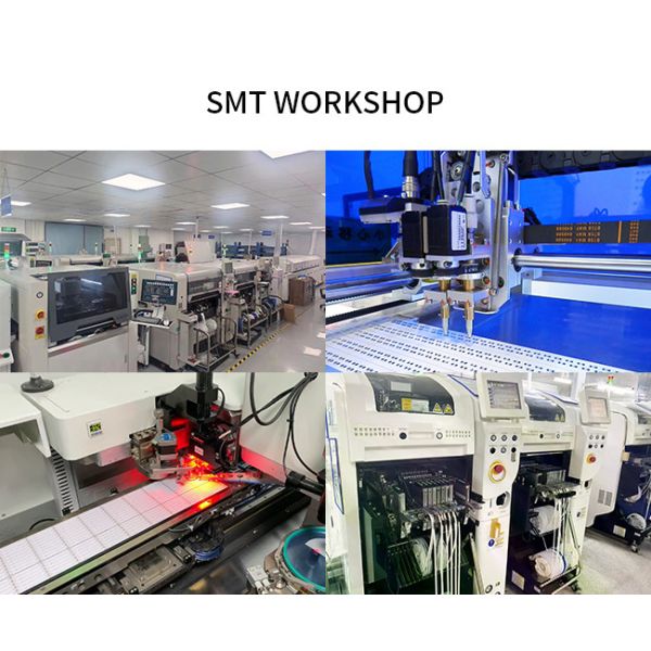 DC12V 24V Waterproof IP68 PU Neon Flex Swimming Pool Silicone Dimming LED Strip Lights