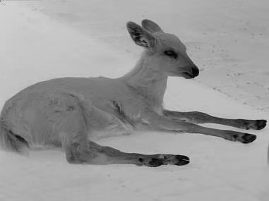 Compact Thermal Clip On , Lightweight 5 Hours Standby Day Night Thermal Scope