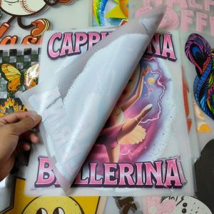 Multiple Colors DFT Printing Transfers Washable Screen Printed Heat Transfers