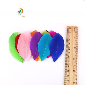 4-6cm Stripped Carnival Costume Feathers , Goose Nagoire Feather Eye Catching