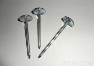 Wholesale Umbrella Head Galvanized Roofing Nails , Twisted Shank And Plain Shank Roofing Nails from china suppliers