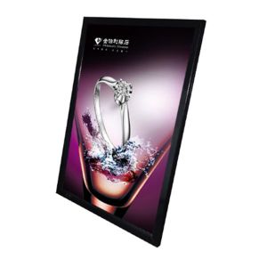 Round Frame Lighted Advertising Signs , Illuminated Led Led Advertising