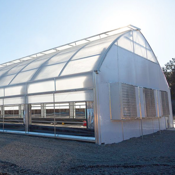 Stable Structure Easily Assembled Agricultural Single Span Fully Automated