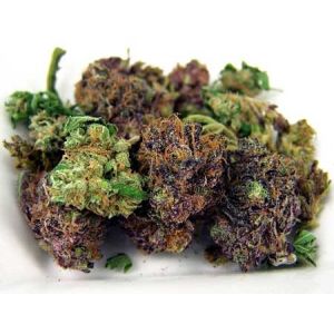 Horticulture 680W 2.9umol/J Ultraviolet Grow Light