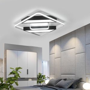 Ceiling mounted lights Acrylic ceiling lamp For indoor home Lighting Fixtures