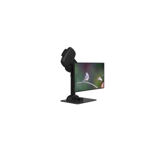 Wholesale Neck Rigidity Electric LCD Monitor Mount Lifting Swivel Automatic from china suppliers