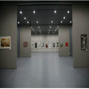 Aluminum Frame 65mm Movable Operable Partition Wall For Exhibition Hall