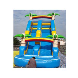 Kids Inflatable Water Slide