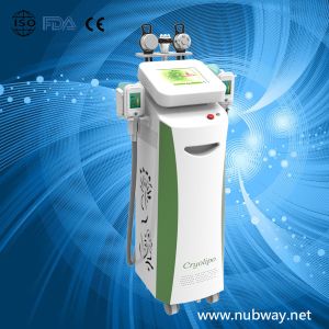 Wholesale Fast weight loss cryolipolysis machine korea fat freeze cryolipolysis slimming machine from china suppliers