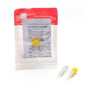 QPCR Hotstart Taq DNA Polymerase RT-PCR Enzyme P1101