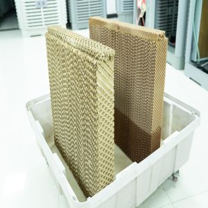 Customized Chicken Farm High Water Resistant Outdoor Cooling System for Chicken