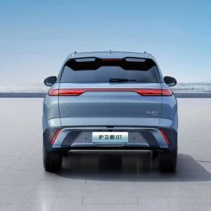 2023 Byd Frigate 07 Dm-I Hybrid SUV Energy Vehicle Made in Mgnt Certification