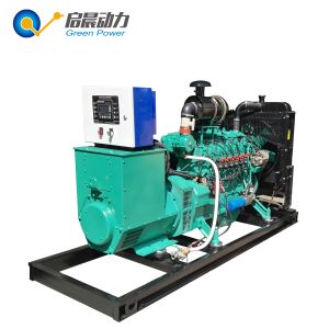 LPG Biogas Generator Set