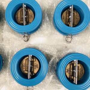 Dh77x-10/16q Dn80 Dn100 Counter Flow Valve, Ansi 150lb Pn10 16 Ductile Iron