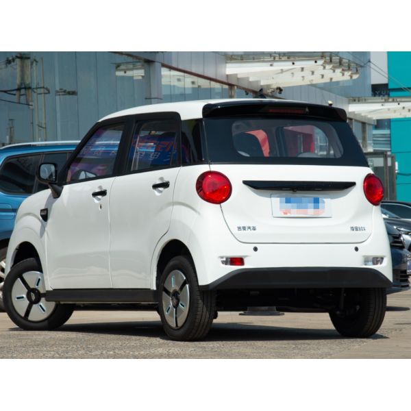 LINGBOX Electric Mini Cars 4 seaters With 205KM Endurance Driving Rangers