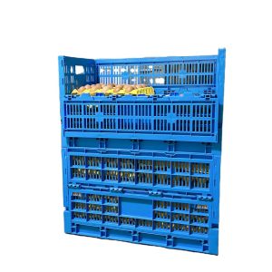 China Foldable Mesh Plastic Chicken Chick Cage Crate with Storage Box For Poultry in Blue PP on sale