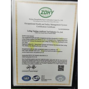 Leling Taishan Artificial Turf Industry Co.,Ltd. Certifications